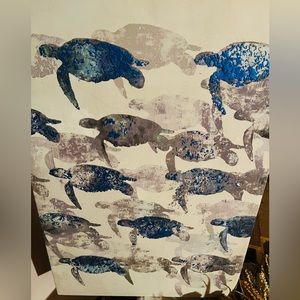 Turtle canvas